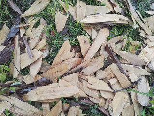 Wood, firewood which is cut up on grass