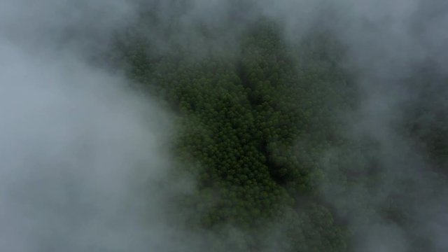 霧・ドローン撮影・4K