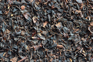 Black leaf tea