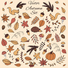 Colorful hand drawn set of vector autumn elements. Includes foliage, rowan berries, acorns, mushrooms, oak and maple leaves, rosehips, squirrels, pine cones and branches, a mouse and a hedgehog.