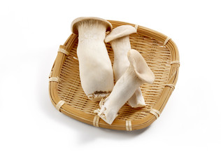 エリンギ　(影イキ、背景白飛ばし)