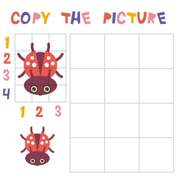 Copy the beetle ladybug picture using the grid, education game for children. Kids learning game insects isolated on white background. Vector