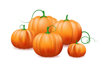 bunch of pumpkins isolated on white background.