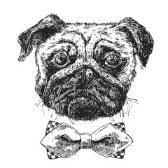 hand drawn sketch illustration dog