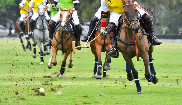 Horse Polo Player Playing