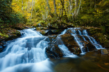 秋の宇津江四十八滝