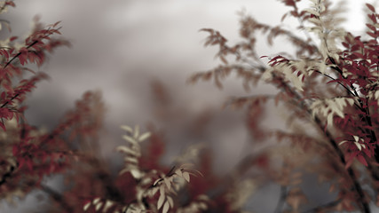 Dark autumnal background. 3d illustration, 3d rendering.