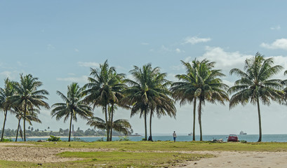 Fototapeta na wymiar Shore of the sea with green palms and grass, Toamasina, Madagascar