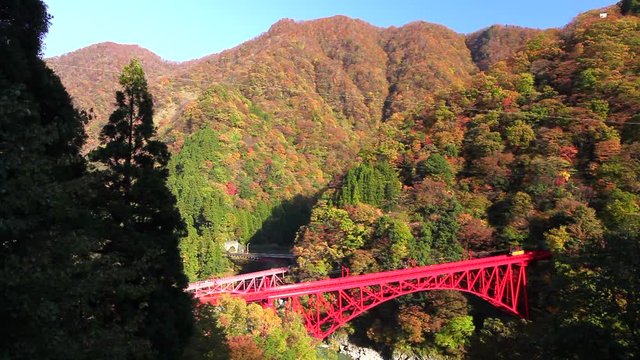 秋の黒部峡谷鉄道と新山彦橋橋