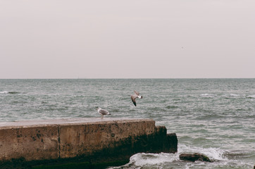 Beautiful view of the sea beach with waves