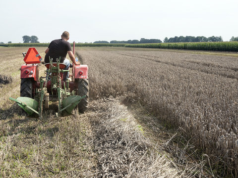 farmer on old tractor mows wheat with plow behind