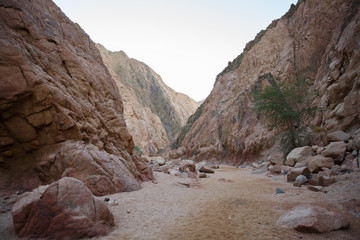 Obraz premium Brown relief mountain texture for the background and wallpaper