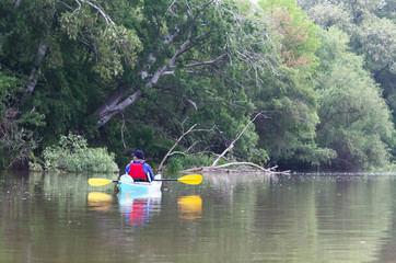 Man in blue kayak in red life jacket kayaking in wild Danube river on biosphere reserve in spring