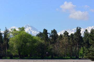 Fototapeta premium Summer day in a park, Almaty. Kazakhstan