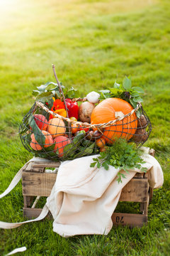 Seasonal vegetables in a basket