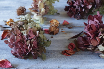 紫陽花のドライフラワー