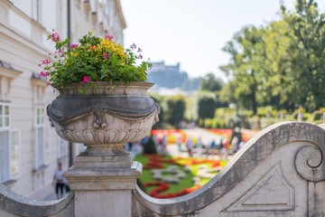 Blumen, Schloss Mirabell, Salzburg