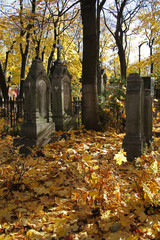 Ancient headstones, autumn in necropolis of Donskoy monastery, Moscow, Russia