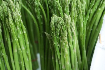 asparagus bunch