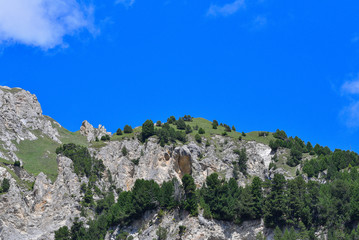 Fototapeta na wymiar Panoramica della cime delle montagne in estate con pini rossi