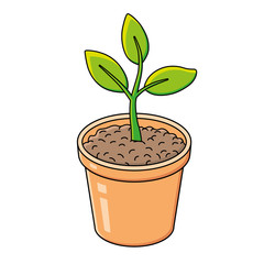 Green plant in a flower pot vector isolated.