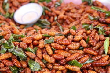 Fried Insect at street food