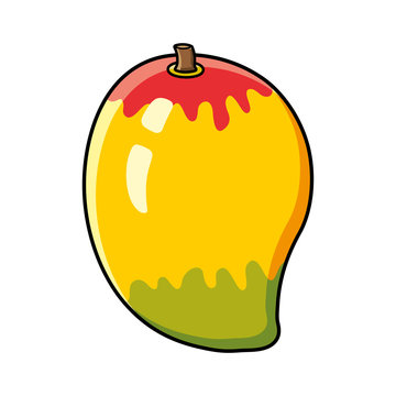 Mango fruit vector isolated.