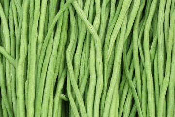 Long bean
