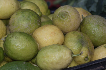 Halbreife Zitronen auf dem Markt