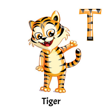 Vector alphabet letter T. Tiger