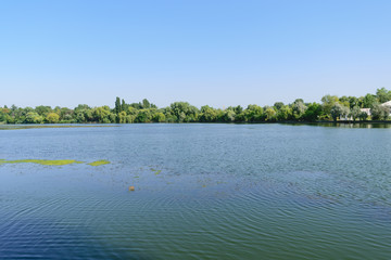 Plumbuita lake in Colentina district of Bucharest. Calm lake with vegetation in the background.