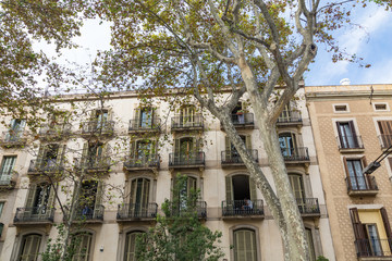 Balconied Apartment in Barcelona