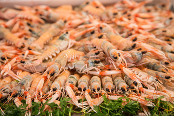 Fresh Langostino in Market