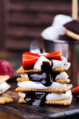 Picnic dessert smores with marshmallow, graham crackers, strawberry and chocolate sauce on dark vintage background