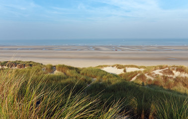 Fototapeta na wymiar dunes de sable de la côte picarde