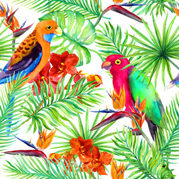Parrots, tropical leaves, exotic flowers - bird flower, orchid. Repeating background. Watercolor