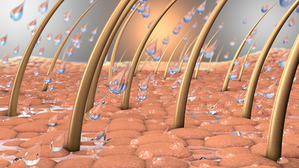 3d illustration of water drops on a close up part of skin with hair and and hair roots - obrazy, fototapety, plakaty