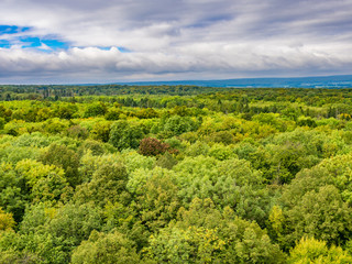 Primeval Beech Forests of Hainich National Park, Germany