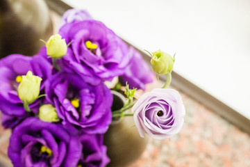 purple rose