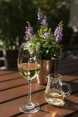 Still life with a glass of white wine and Carafe.