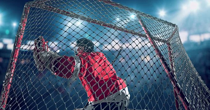 Hockey goalie tries to save the gate