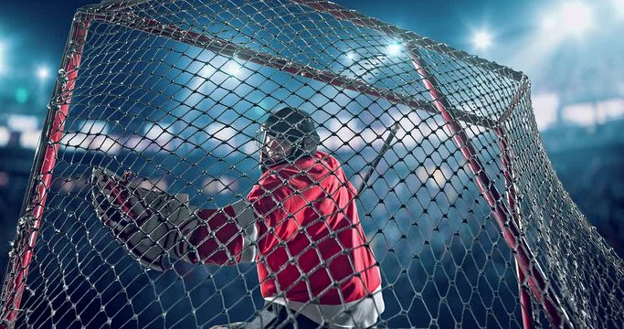 Hockey goalie tries to save the gate