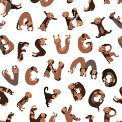 Seamless vector flat pattern - dachshund dog letters. Alphabet