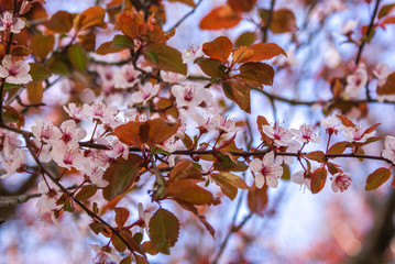 Botanical Garden, Coimbra, Portugal