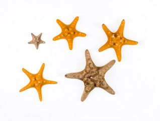 Fototapeta na wymiar yellow starfish on a white background