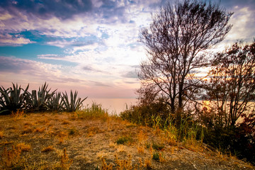 Obraz premium Beautiful autumn landscape by the sea side with trees silhouettes and yellow grass.