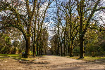 Botanical Garden, Coimbra, Portugal