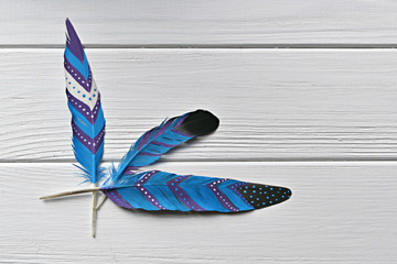 Magic hand painted feathers set on white wooden background. Space for your text