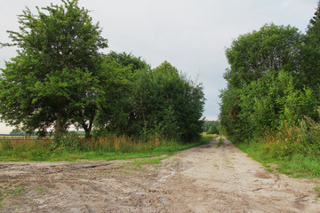 landscape photo of the dawn in August