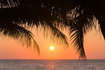 Naklejka na ściany i meble Tropical beach at sunset